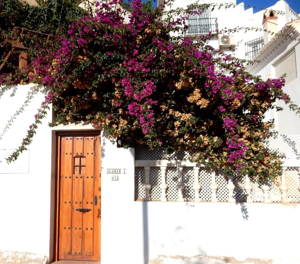 ,nerja, Seaview, Pool, 3 Bedrooms, Huge Terrace And Garden Hébergement de vacances